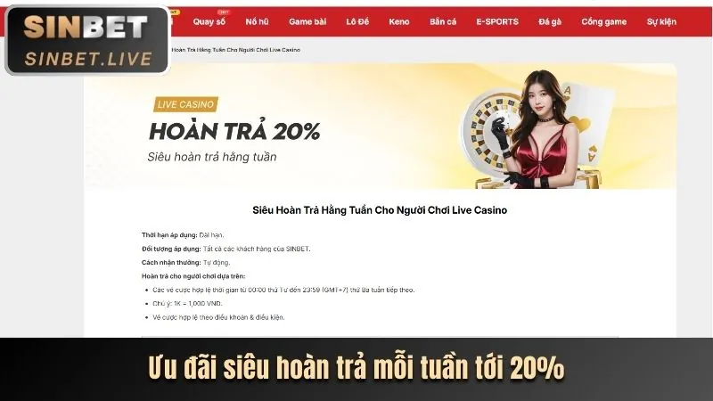 Dịch vụ hỗ trợ ưu tiên cho thành viên VIP vin777vip